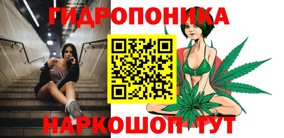 Конопля планчик Анапа